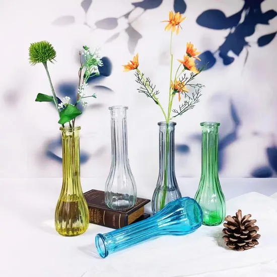 Vase à fleurs en verre transparent, hydroponique en forme de boule, bouche coupée, plante d'eau en relief